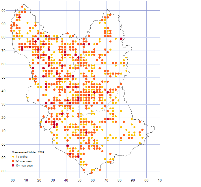 Green-veined White distribution map 2024