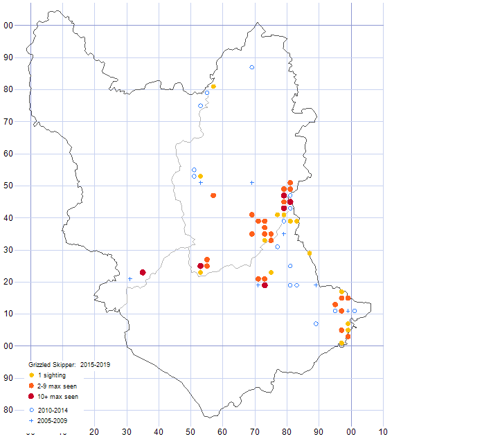 Grizzled Skipper distribution map 2005-19