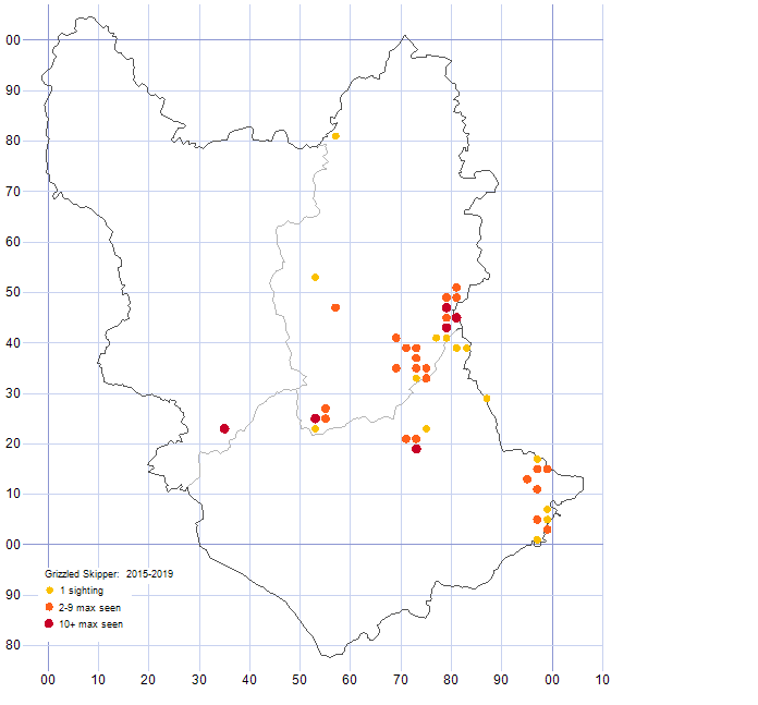 Grizzled Skipper distribution map 2015-19