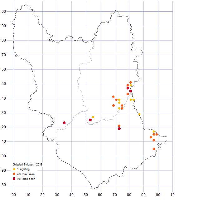 Grizzled Skipper distribution map 2019