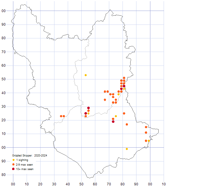 Grizzled Skipper distribution map 2020-24