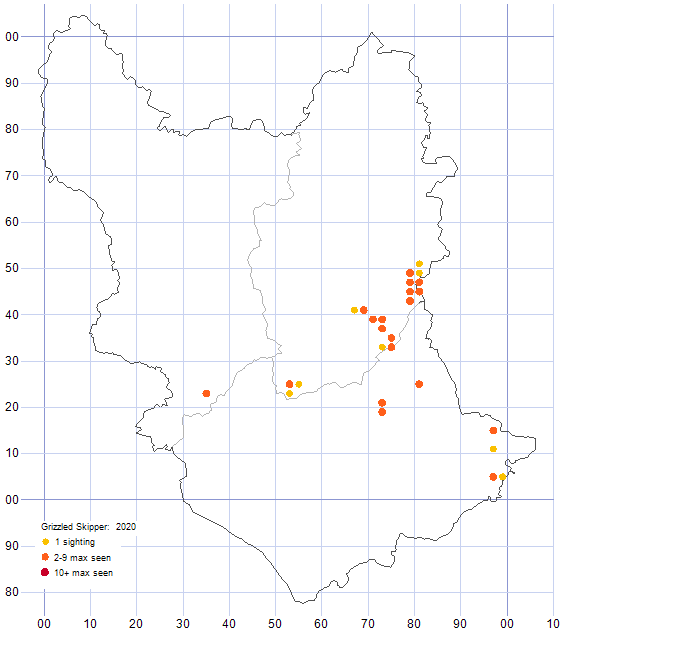 Grizzled Skipper distribution map 2020