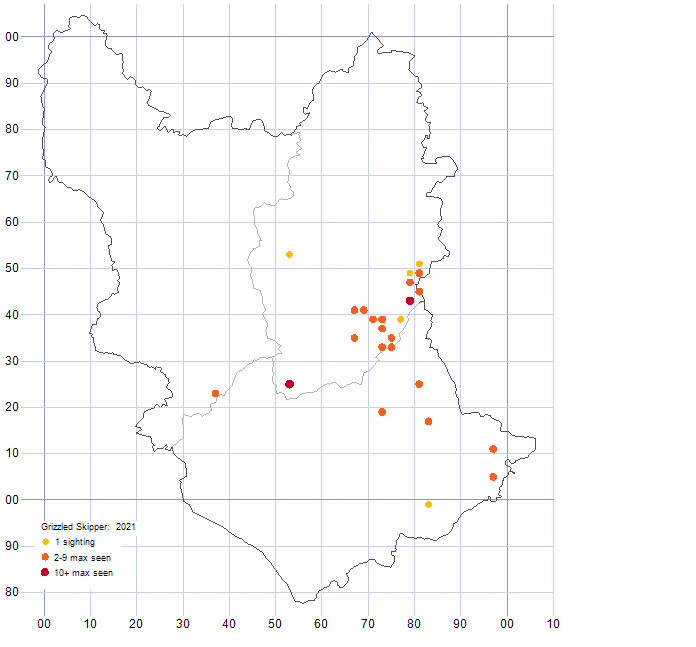 Grizzled Skipper distribution map 2021