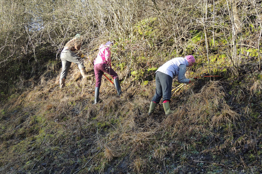 volunteers on a work-party
