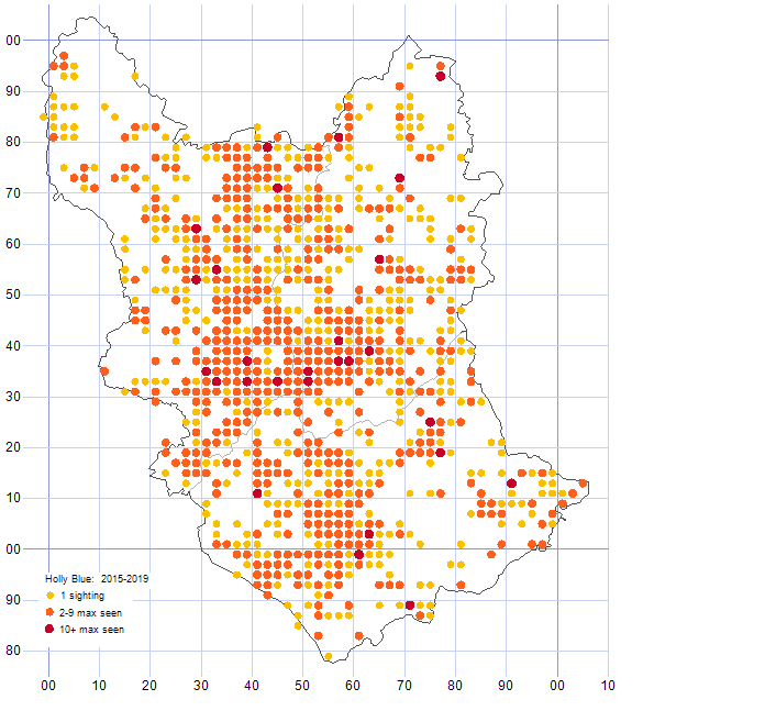 Holly Blue distribution map 2015-19