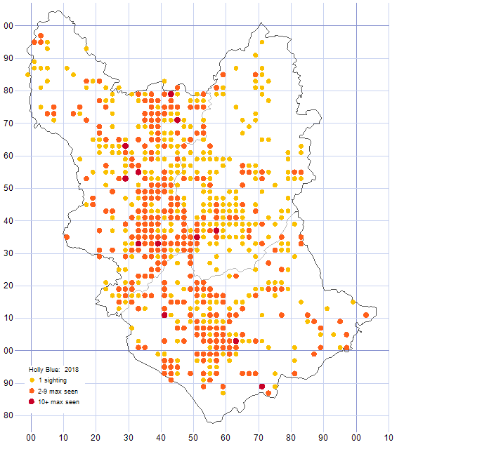 Holly Blue distribution map 2018