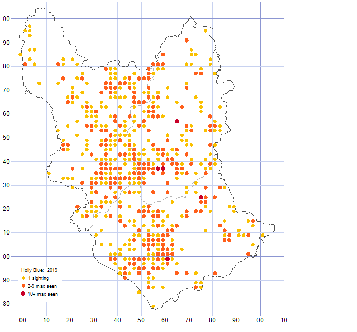 Holly Blue distribution map 2019