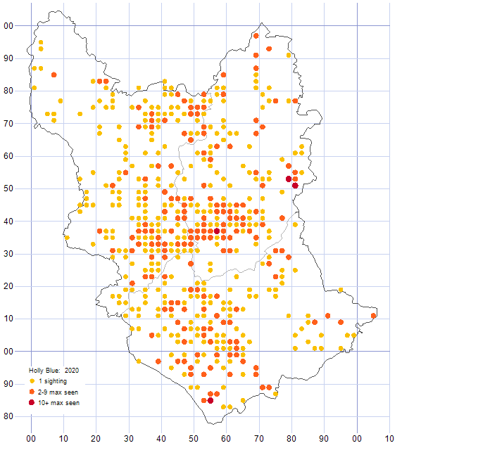 Holly Blue distribution map 2020