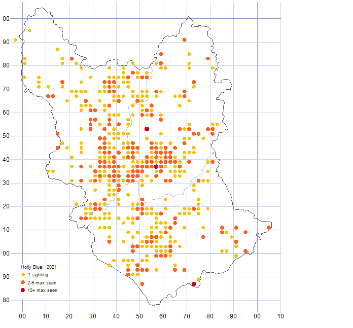 Holly Blue distribution map 2021