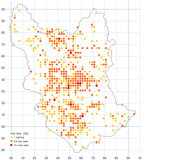 Holly Blue distribution map 2022