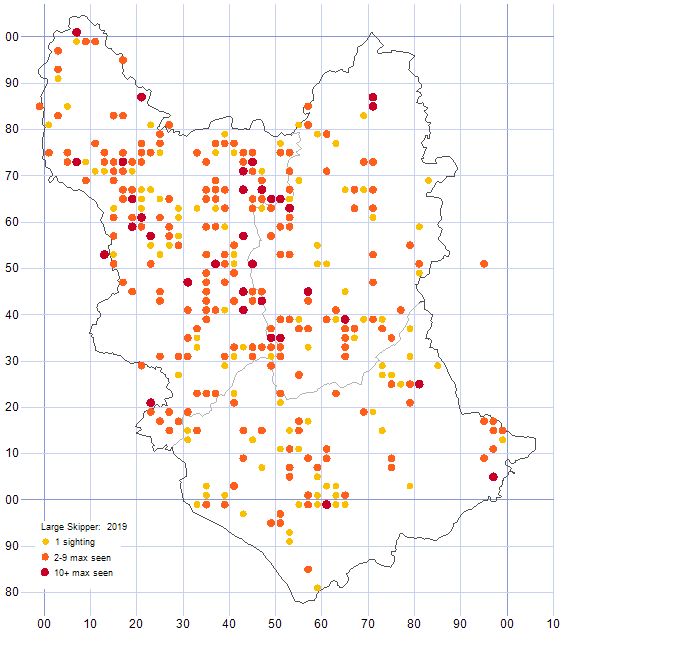 Large Skipper distribution map 2019