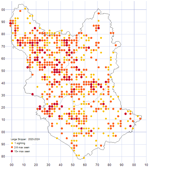 Large Skipper distribution map 2020-24