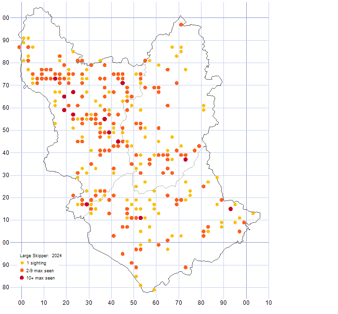 Large Skipper distribution map 2024
