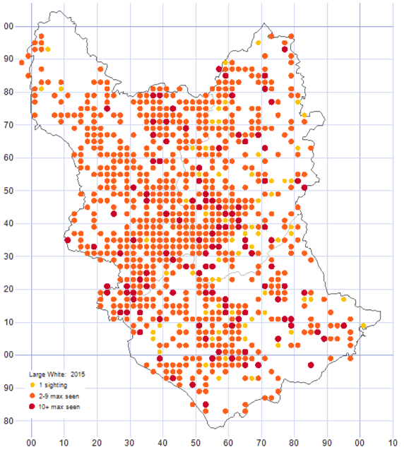 Large White distribution map 2015