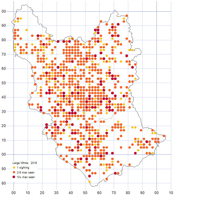 Large White distribution map 2016