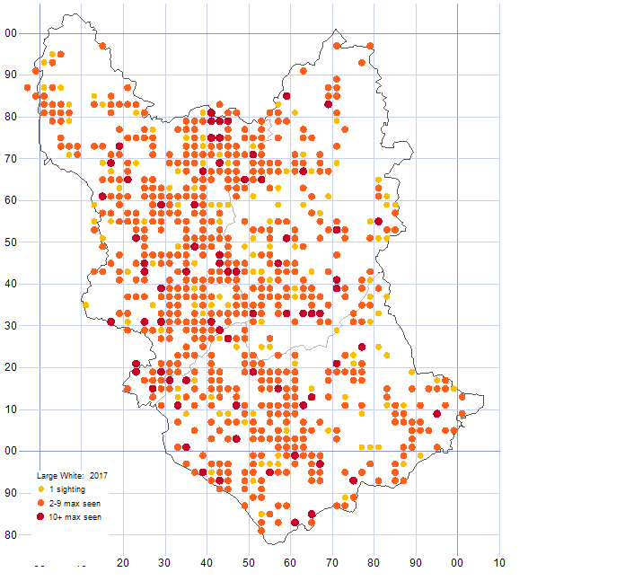 Large White distribution map 2017