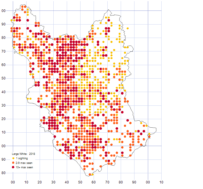 Large White distribution map 2018