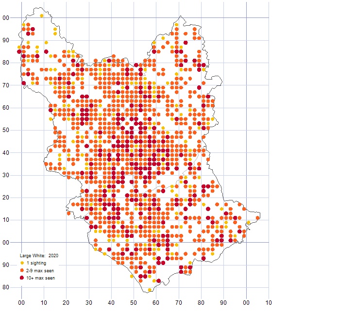 Large White distribution map 2020