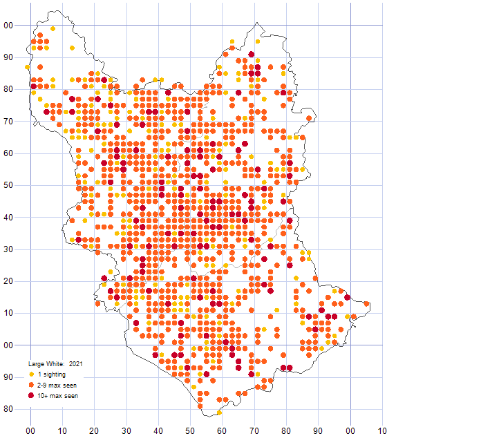 Large White distribution map 2021