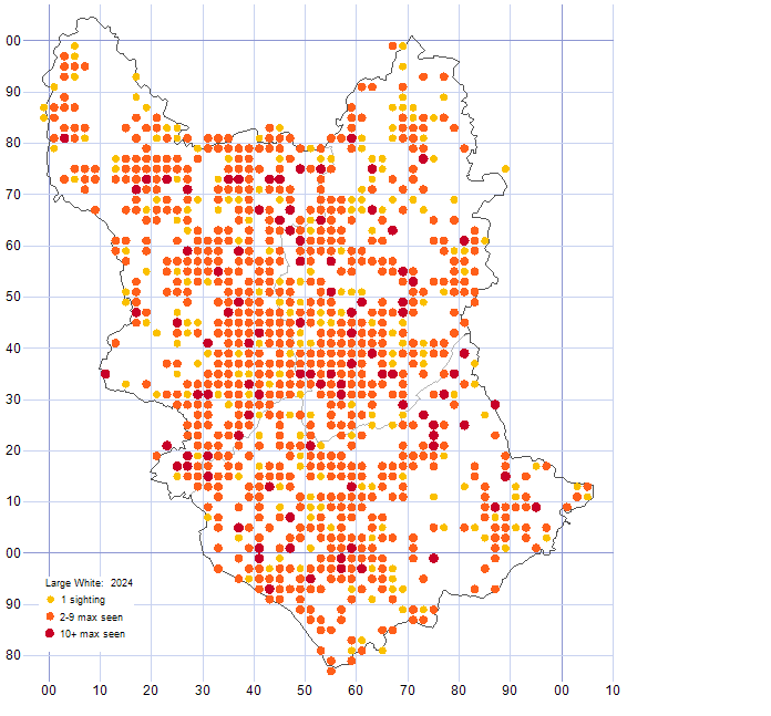 Large White distribution map 2024
