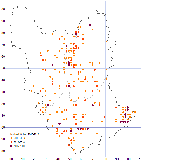 Marbled White distribution map 2005-19