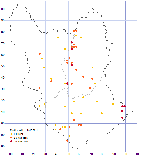 Marbled White distribution map 2010-14