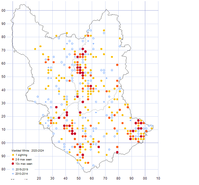 Marbled White distribution map 2010-24