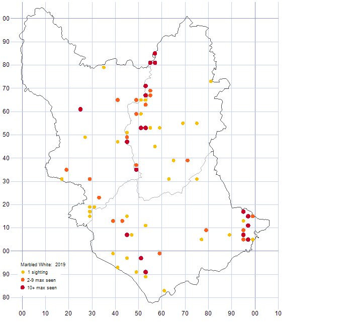 Marbled White distribution map 2019