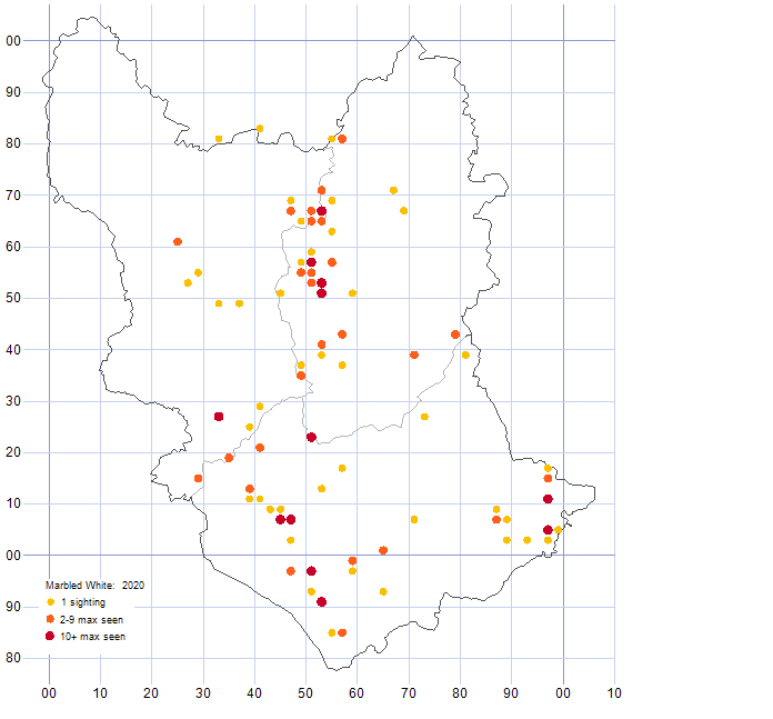 Marbled White distribution map 2020