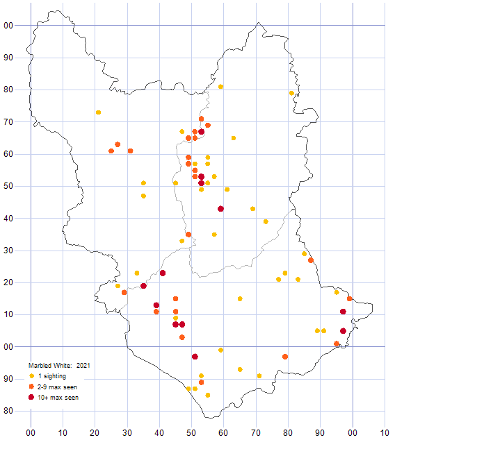 Marbled White distribution map 2021