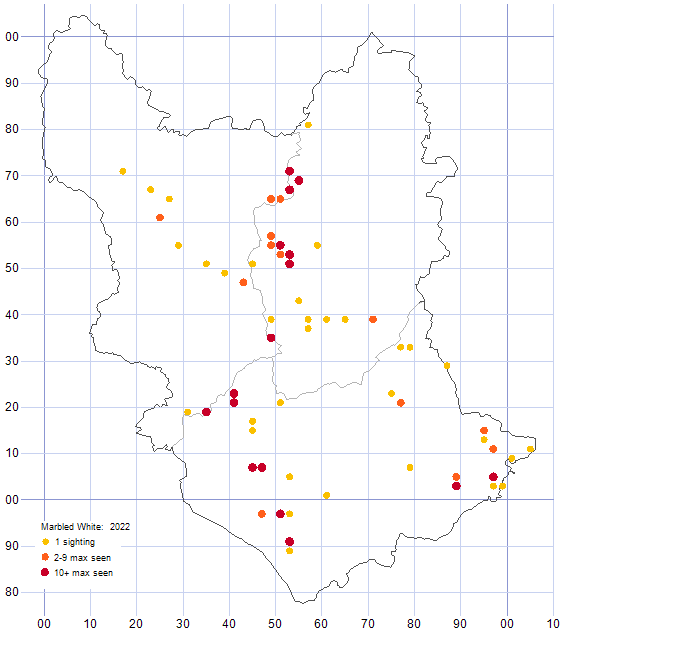 Marbled White distribution map 2022