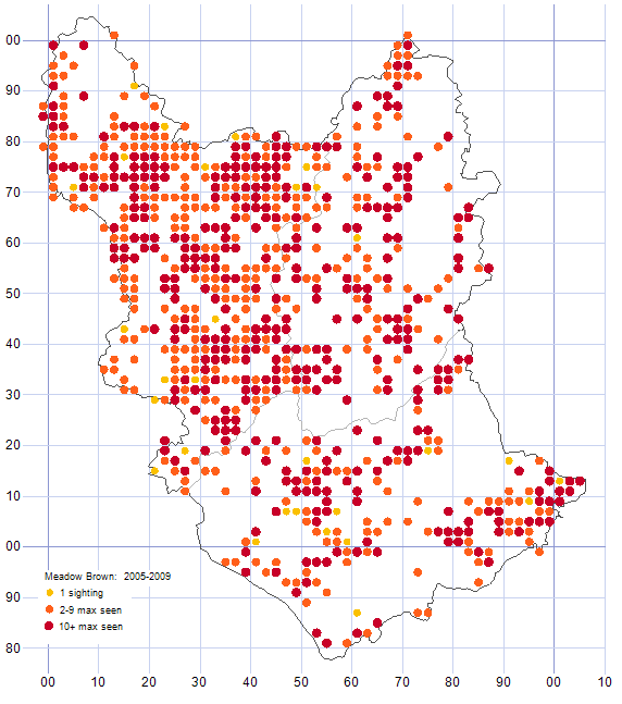 Meadow Brown distribution map 2005-09