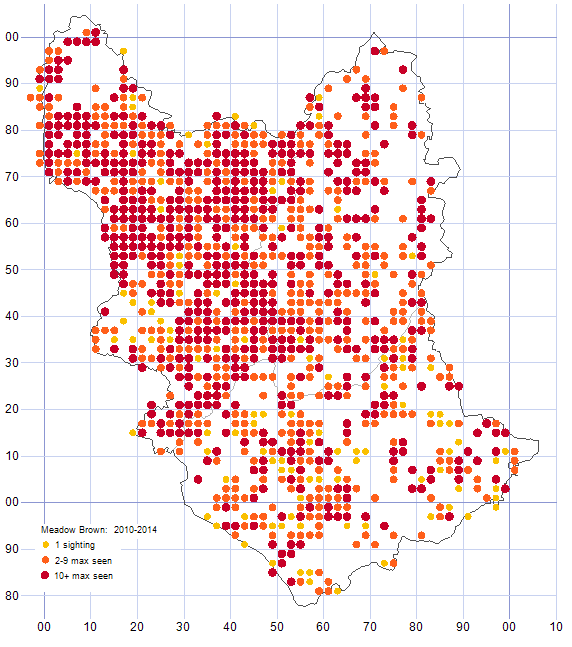 Meadow Brown distribution map 2010-14