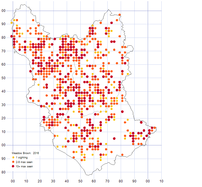 Meadow Brown distribution map 2016