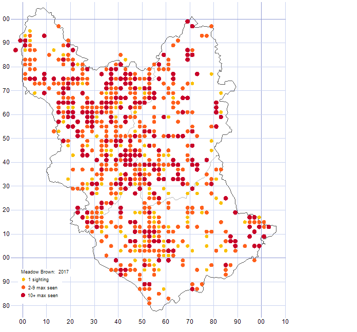 Meadow Brown distribution map 2017