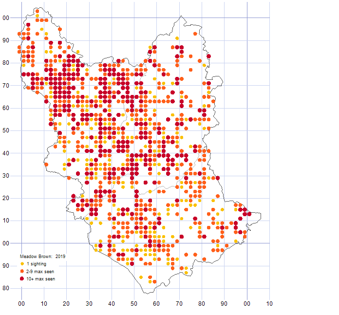 Meadow Brown distribution map 2019