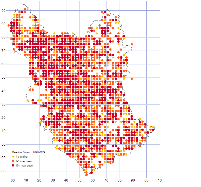 Meadow Brown distribution map 2020-24