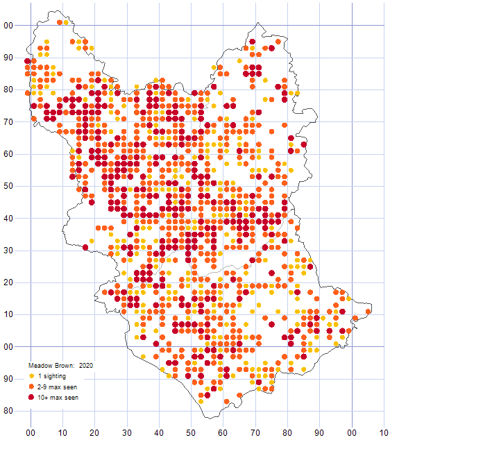 Meadow Brown distribution map 2020