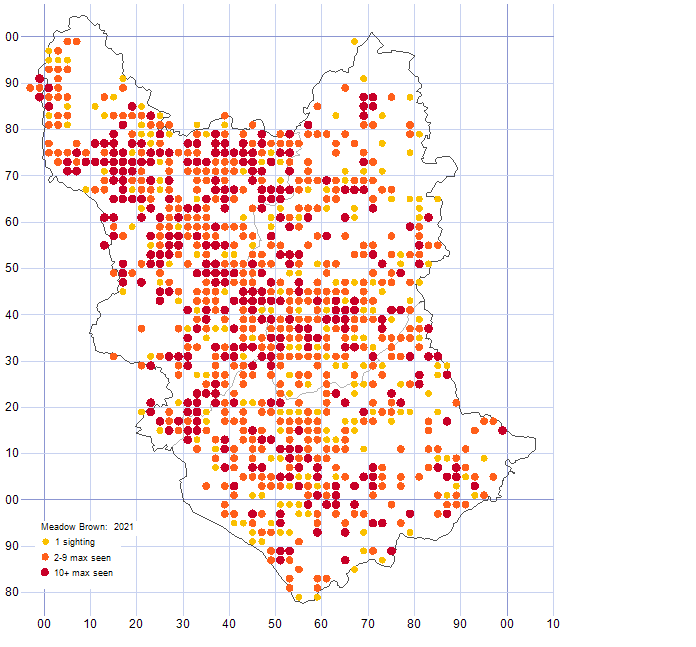Meadow Brown distribution map 2021