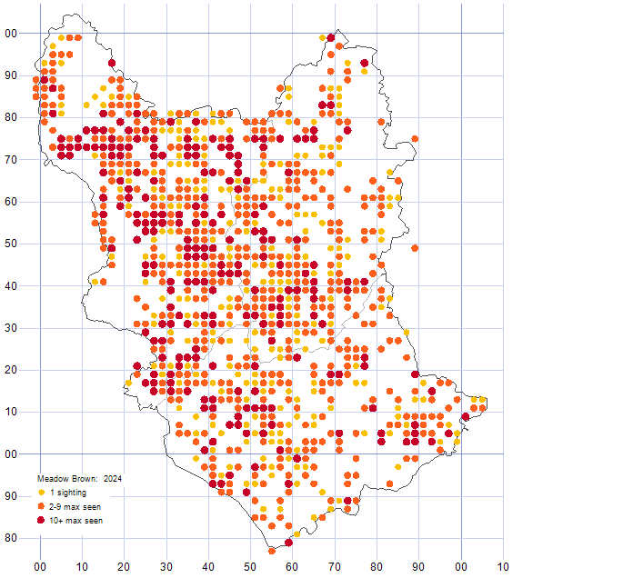 Meadow Brown distribution map 2024
