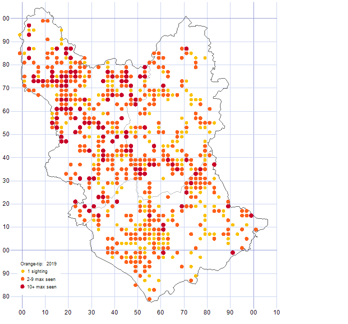 Orange-tip distribution map 2019