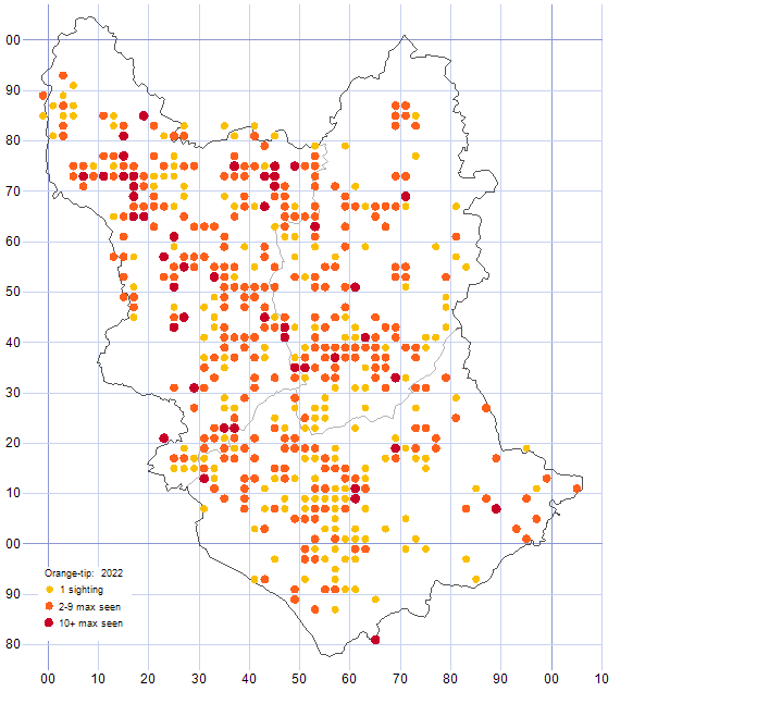 Orange-tip distribution map 2022