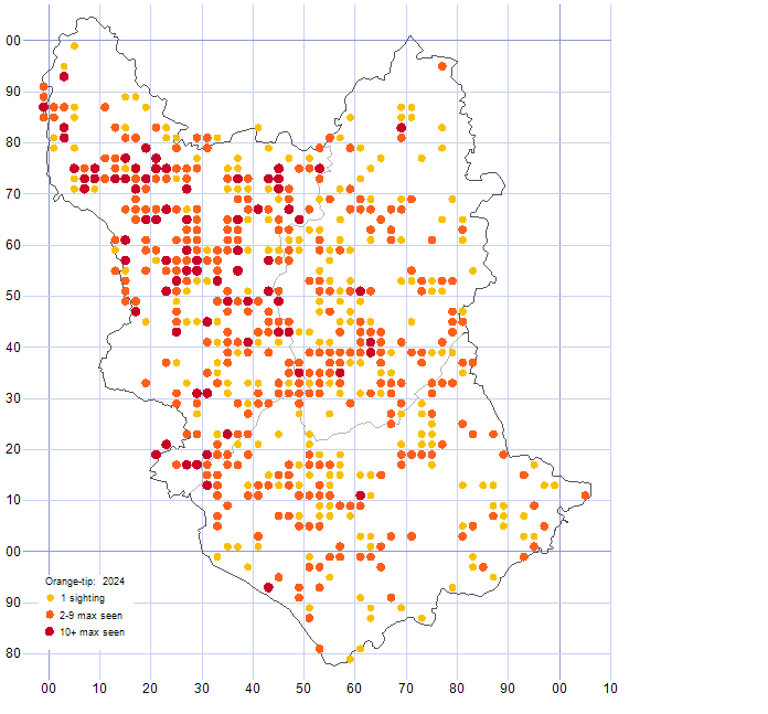 Orange-tip distribution map 2024