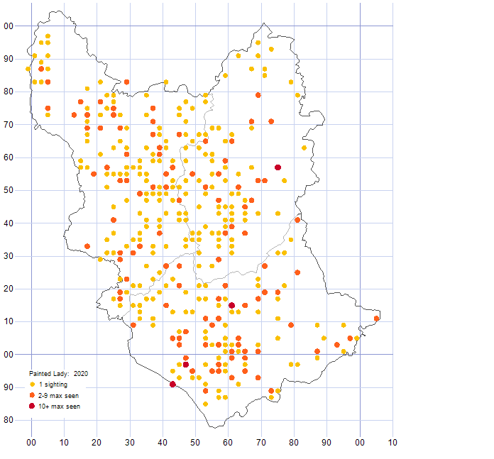 Painted Lady distribution map 2020