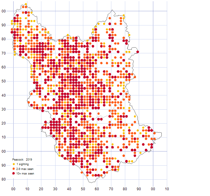 Peacock distribution map 2019