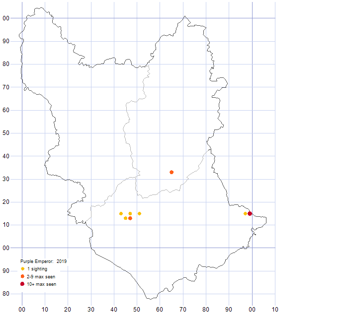 Purple Emperor distribution map 2019