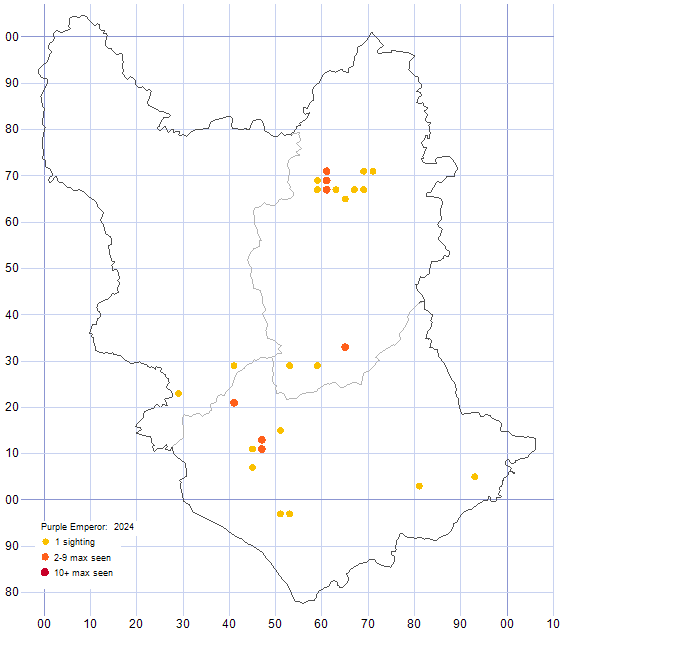 Purple Emperor distribution map 2024