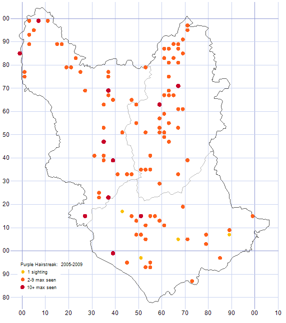 Purple Hairstreak distribution map 2005-09