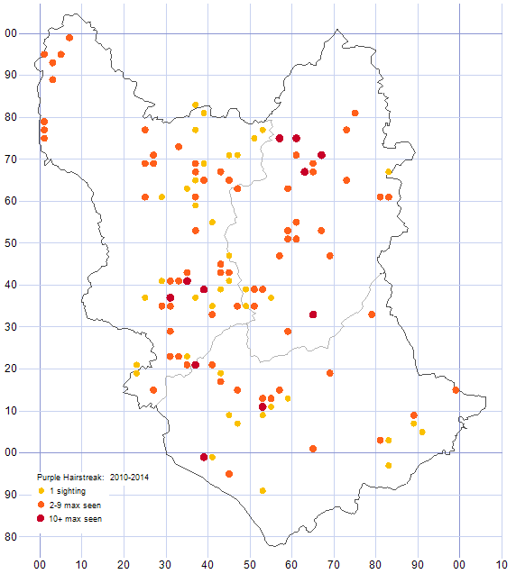 Purple Hairstreak distribution map 2010-14