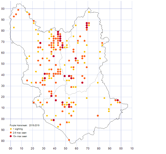 Purple Hairstreak distribution map 2015-19